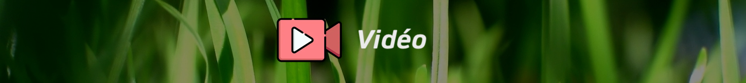 Prochain format long, l'expertise dans l'IT